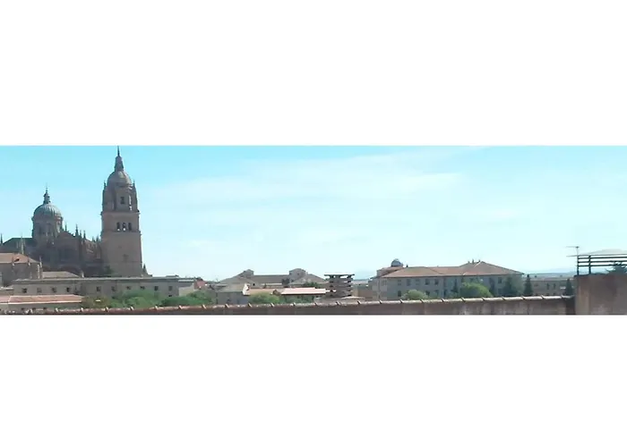 Centrico Y Luminoso San Vicente